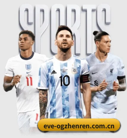 五大服务分区,信息按项目分类（ogzhenren）
